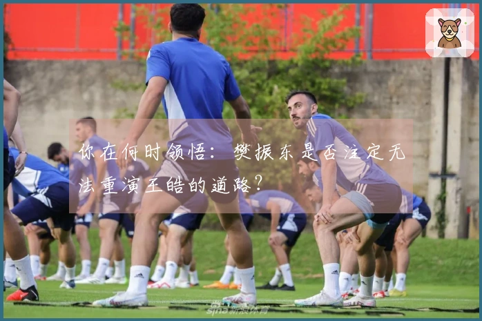 你在何时领悟：樊振东是否注定无法重演王皓的道路？