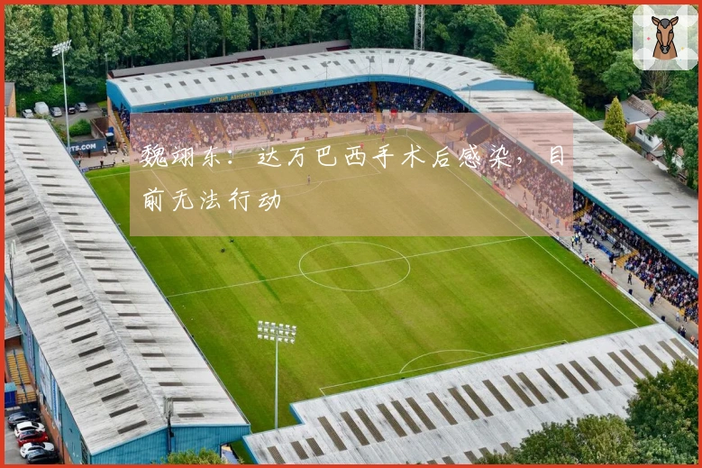 魏翊东：达万巴西手术后感染，目前无法行动