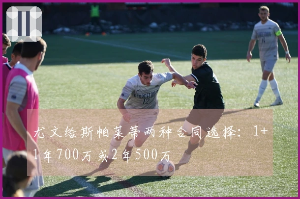 尤文给斯帕莱蒂两种合同选择：1+1年700万或2年500万