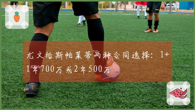 尤文给斯帕莱蒂两种合同选择：1+1年700万或2年500万